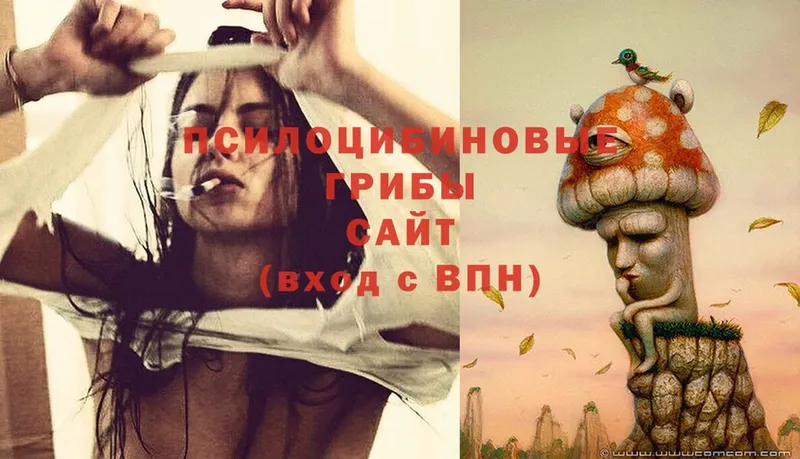 Галлюциногенные грибы Cubensis Ельня